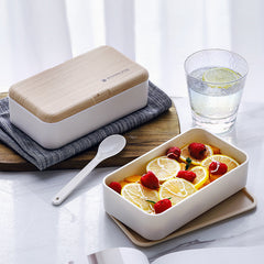 Nordic Style Double-Layer Lunch Box for Work and School